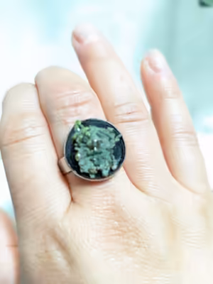 Inel reglabil, Botanical